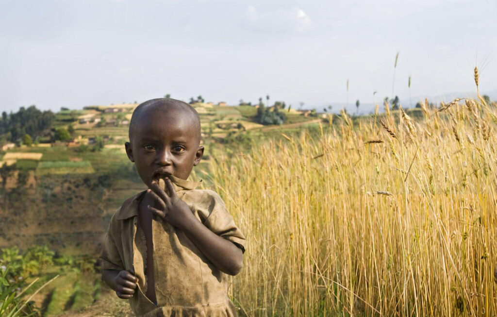 Barriers to Accessing Quality Education