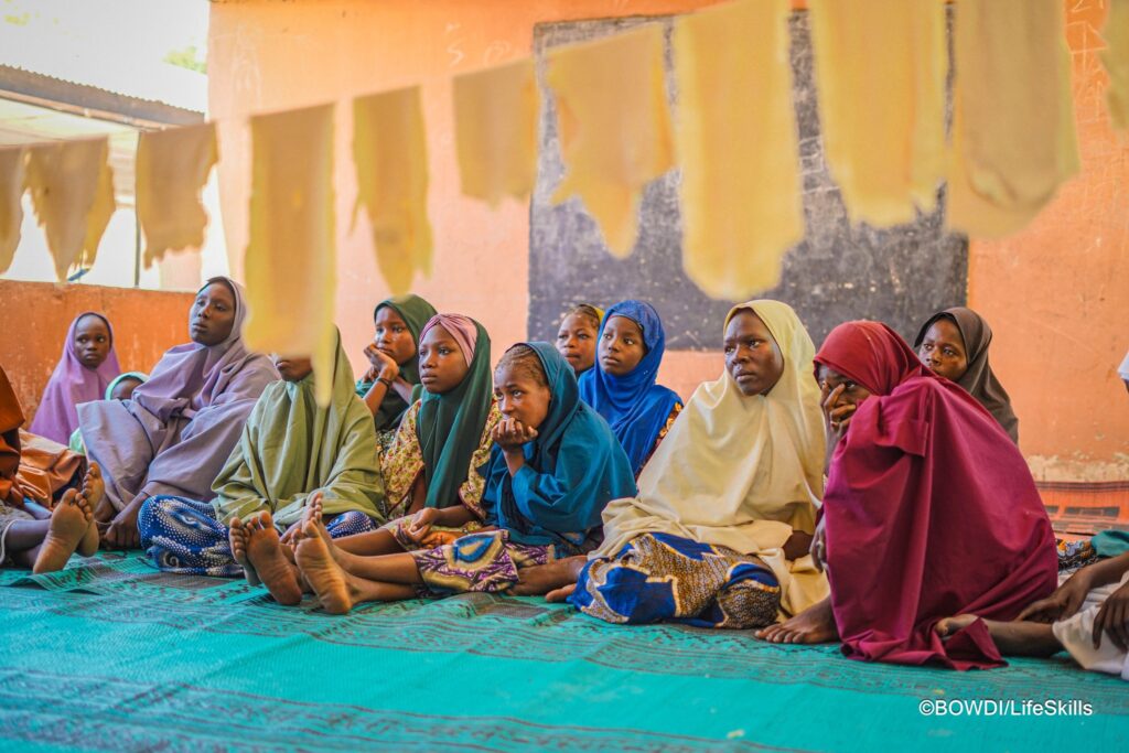 Borno Women Development Initiative (BOWDI)